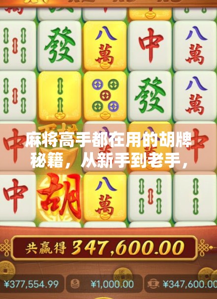 麻将高手都在用的胡牌秘籍，从新手到老手，掌握这5个技巧轻松上分！