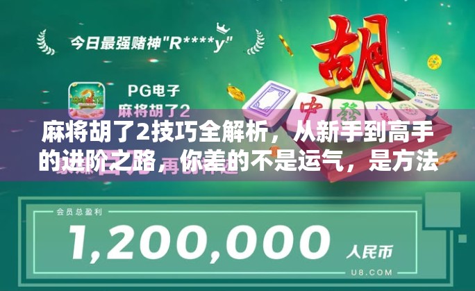 麻将胡了2技巧全解析，从新手到高手的进阶之路，你差的不是运气，是方法！
