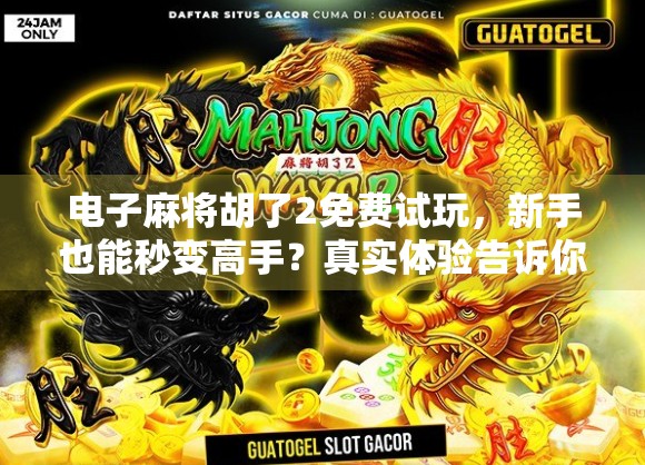 电子麻将胡了2免费试玩，新手也能秒变高手？真实体验告诉你答案！