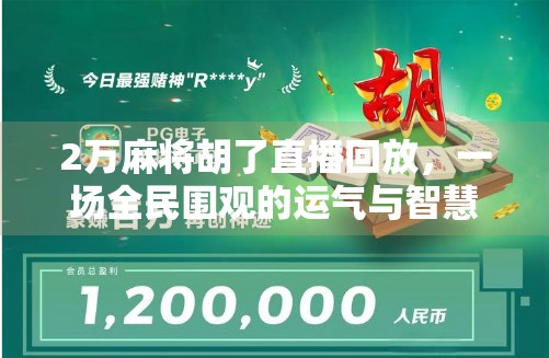 2万麻将胡了直播回放，一场全民围观的运气与智慧的狂欢盛宴